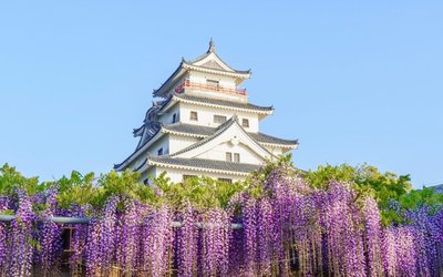 🏯 가라쓰 성 (가라쓰조) 이미지 2